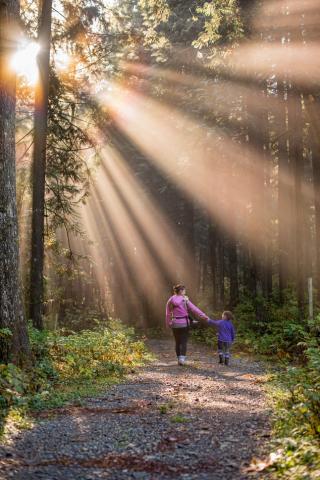 mother and child walking down a forest path